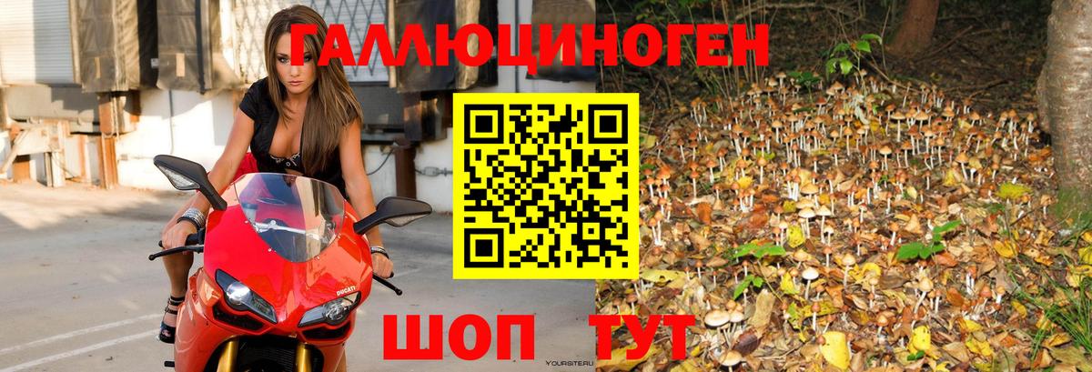Псилоцибиновые грибы прущие грибы  Псилоцибиновые грибы Psilocybine cubensis  Урай  Вход с VPN 